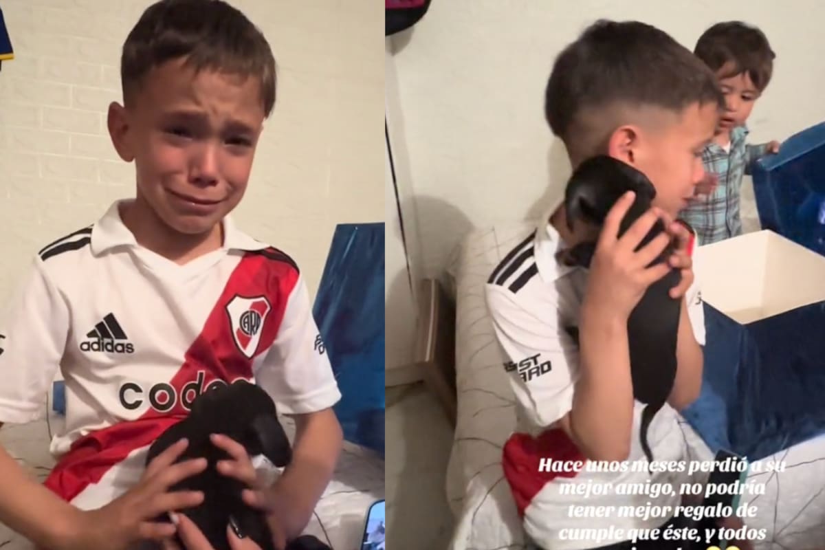 Niño llora de la emoción al recibir un nuevo cachorro después del fallecimiento de su primer perro
