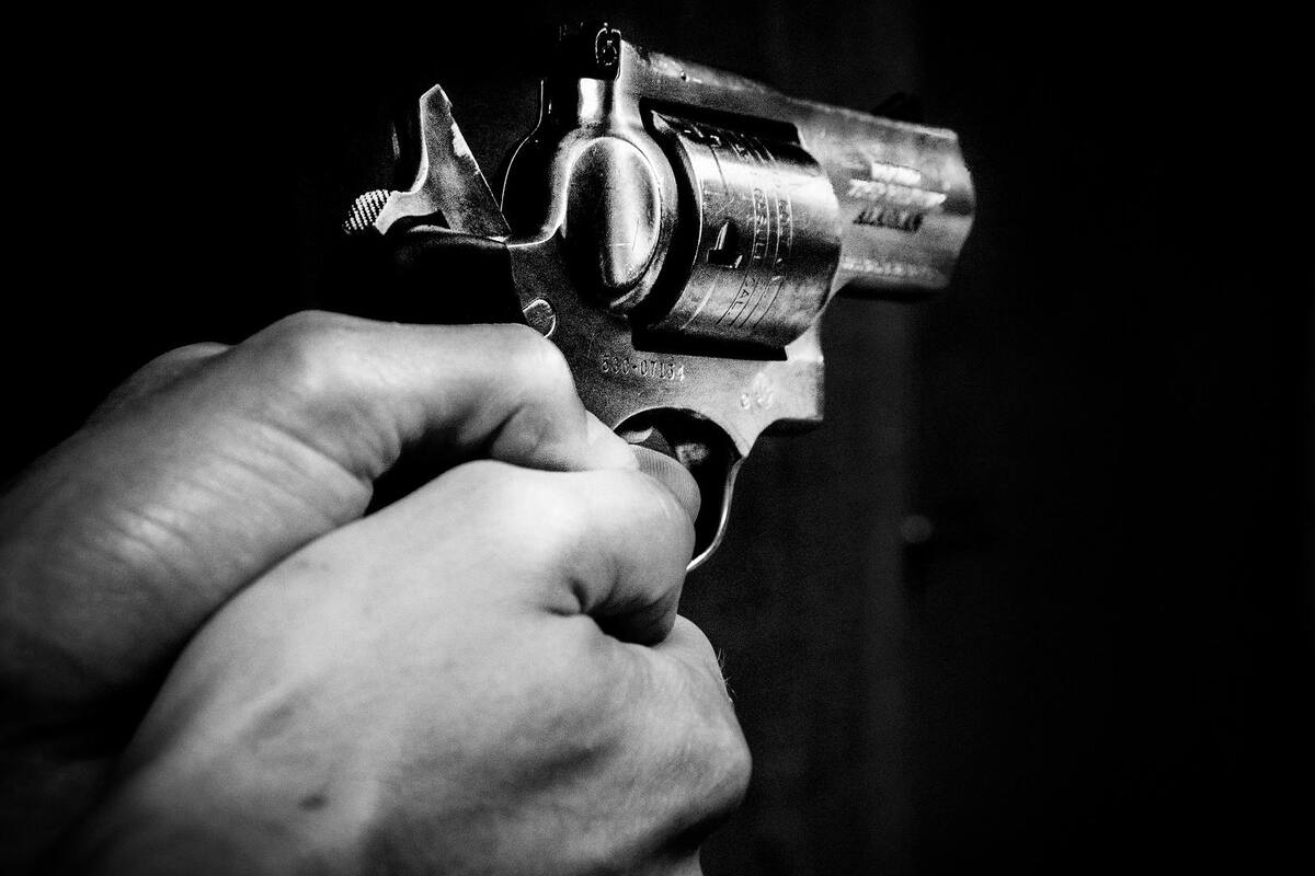 EU declina pronunciarse en demanda sobre posesión de armas