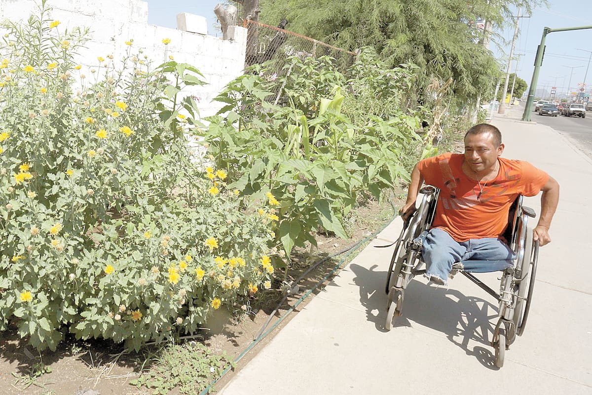Crea un jardín por fuera de panteón; ahí vive a la intemperie