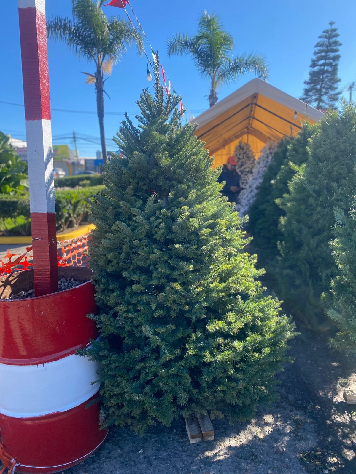 Foto: Emmanuel Castañeda