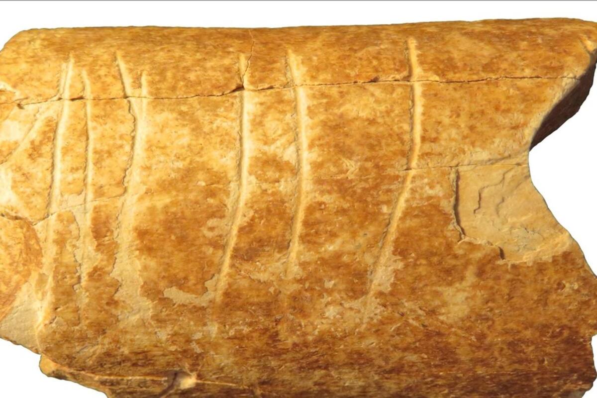 Hallan evidencia del uso humano más antiguo de símbolos en hueso