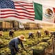 La falta de trabajadores mexicanos ya golpea a sectores clave de Estados Unidos y podría obligarlo a cambiar su política migratoria y ampliar visas laborales