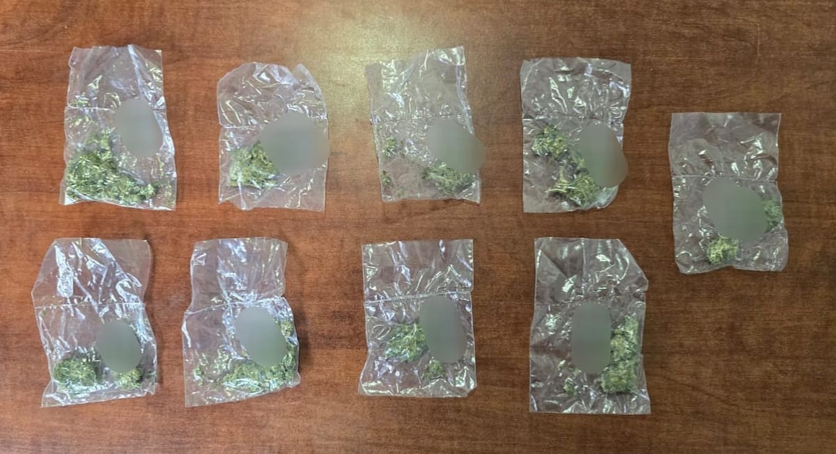 Durante la revisión le localizaron nueve bolsas transparentes de cierre hermético que contenían mariguana.│Foto: Cortesía