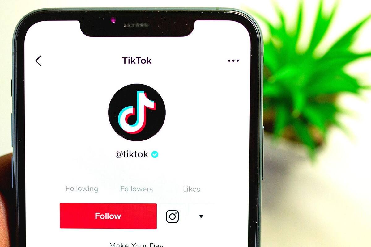 TikTok: La plataforma cuenta con nuevas políticas