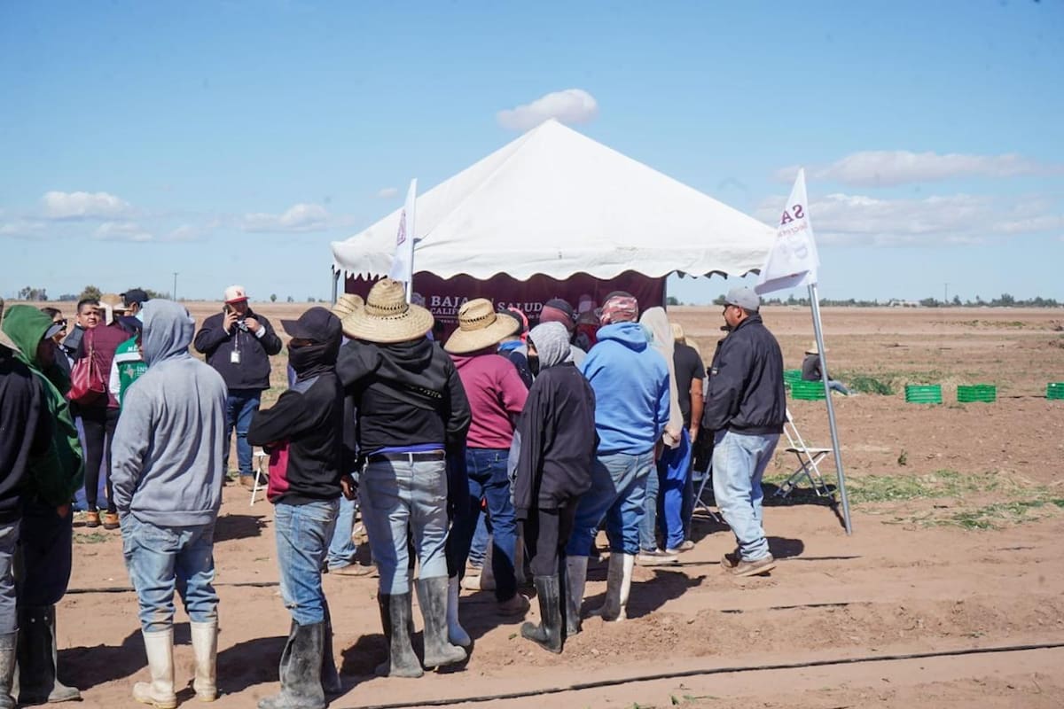 Refuerzan vacunación contra el sarampión en casi 40 campos agrícolas de BC