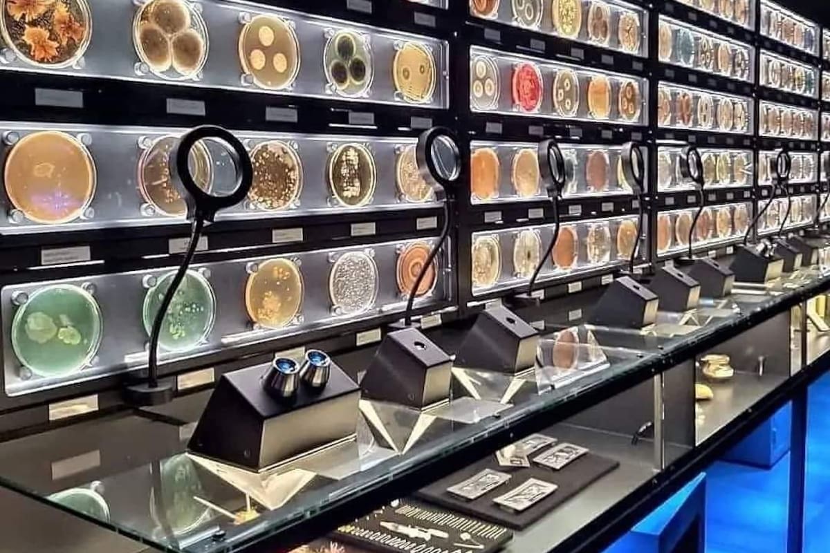 Este es el museo dedicado a los microbios