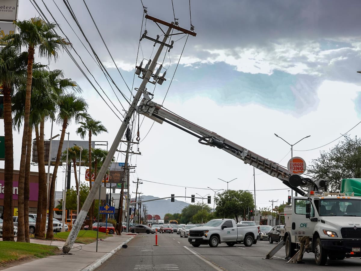 Las fuertes ráfagas de viento derribaron postes y árboles en distintos puntos de Mexicali, además de provocar apagones y complicaciones para la circulación. Foto: Said Morones.