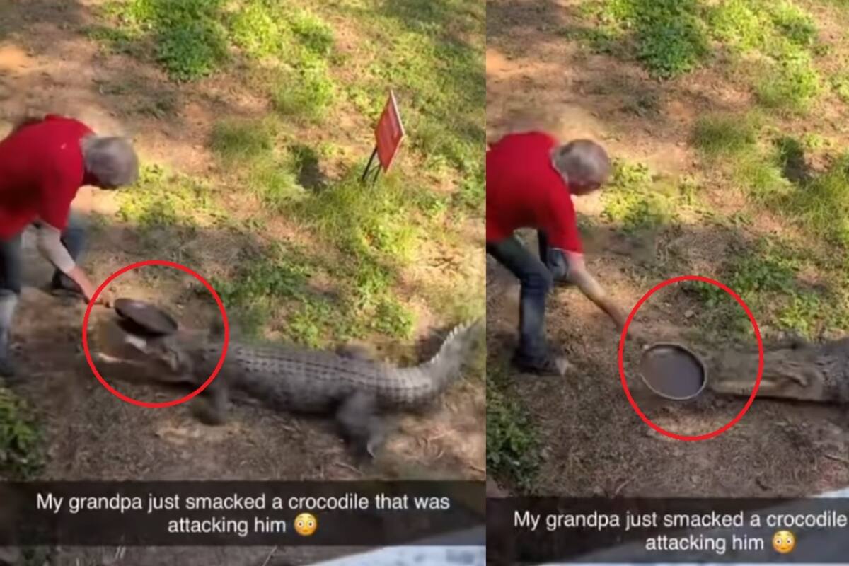 VIDEO: Hombre se defiende de un cocodrilo golpeándolo con un sartén y se vuelve viral
