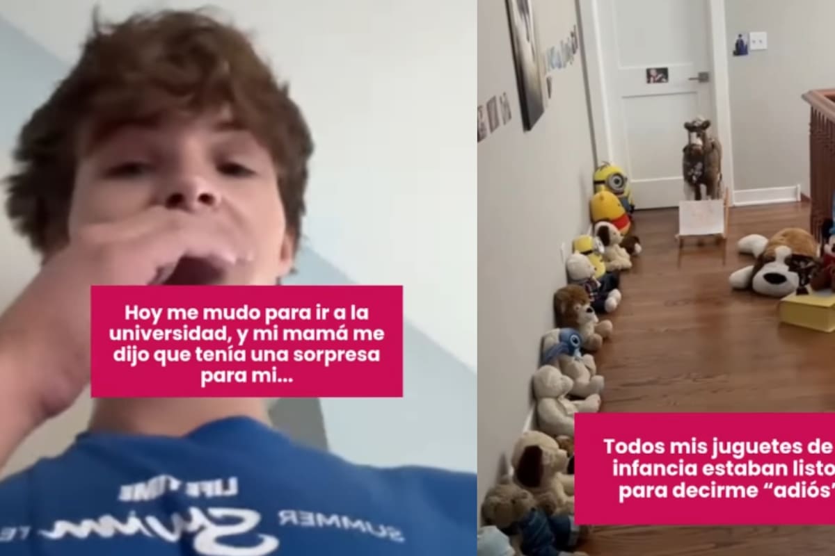 “Antes de partir a la universidad”: Madre organiza emotiva despedida con todos los peluches de la infancia de su hijo