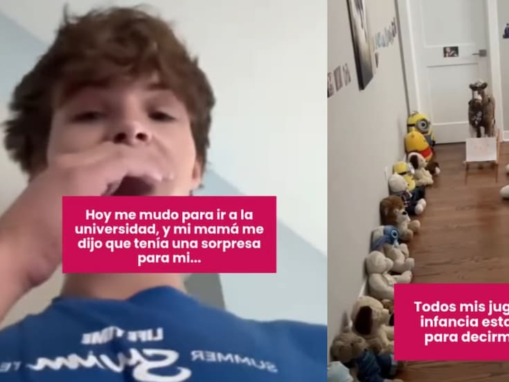 “Antes de partir a la universidad”: Madre organiza emotiva despedida con todos los peluches de la infancia de su hijo