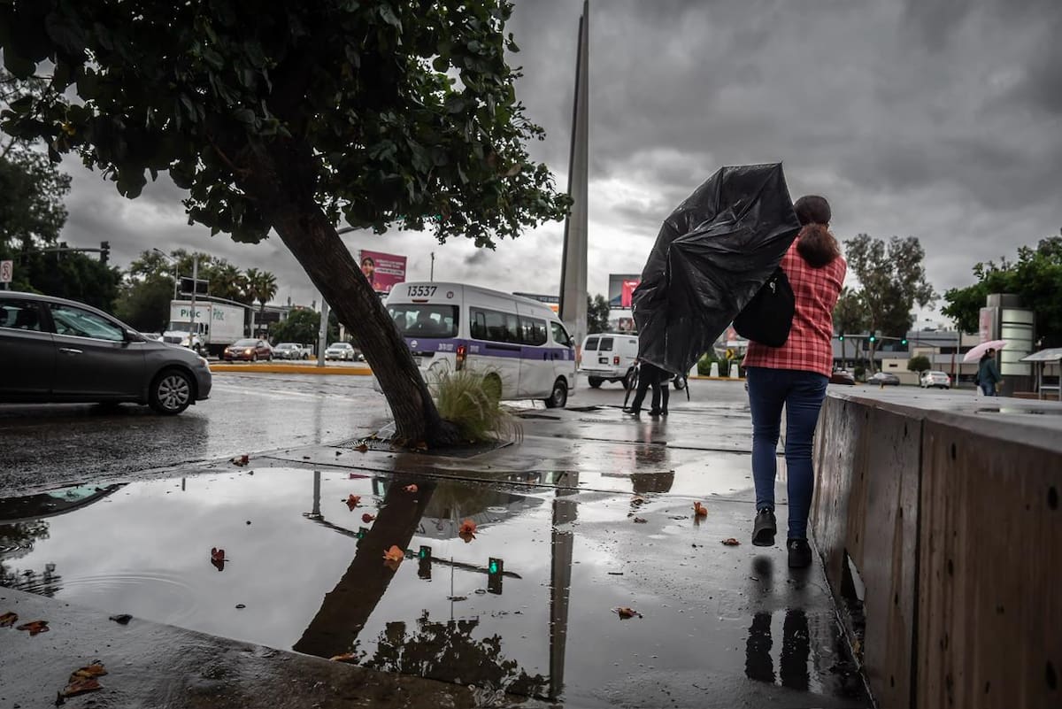 ARCHIVO. El frente frío prevalecerá en varias zonas del País. | Foto: Border Zoom