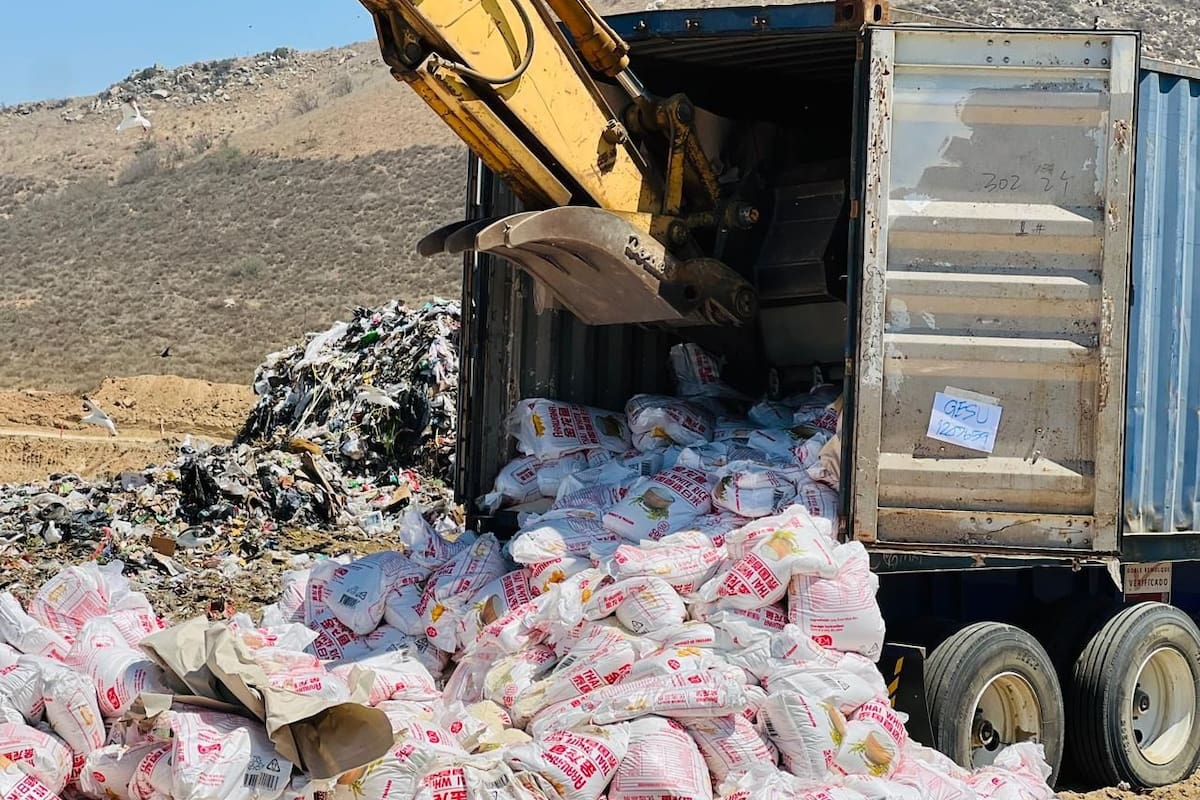 Verifica Coepris destrucción de 24 toneladas arroz procedente de Tailandia