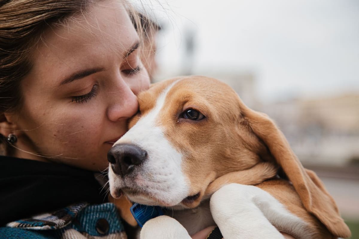 Especialistas de la UNAM explican por qué cada vez hay más dog moms y cat moms en México y cómo este fenómeno está transformando el concepto tradicional de familia