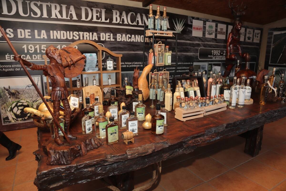 Impulsarán bacanora entre vacacionistas