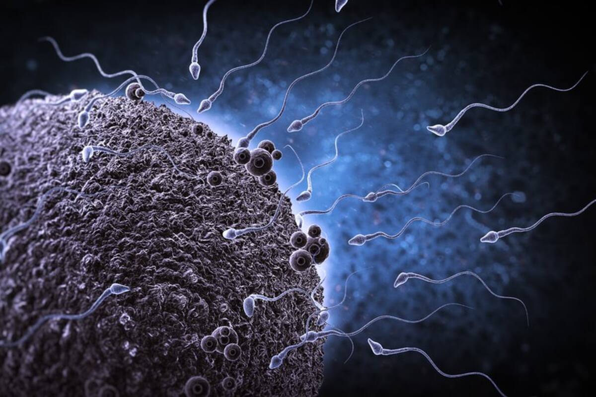 “El efecto de los químicos en nuestro sistema reproductivo amenaza la supervivencia humana”: Shanna Swan, epidemióloga autora de “Cuenta atrás”