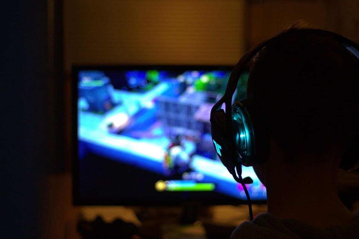 Gamer Fortnite Game Computer Game Addiction