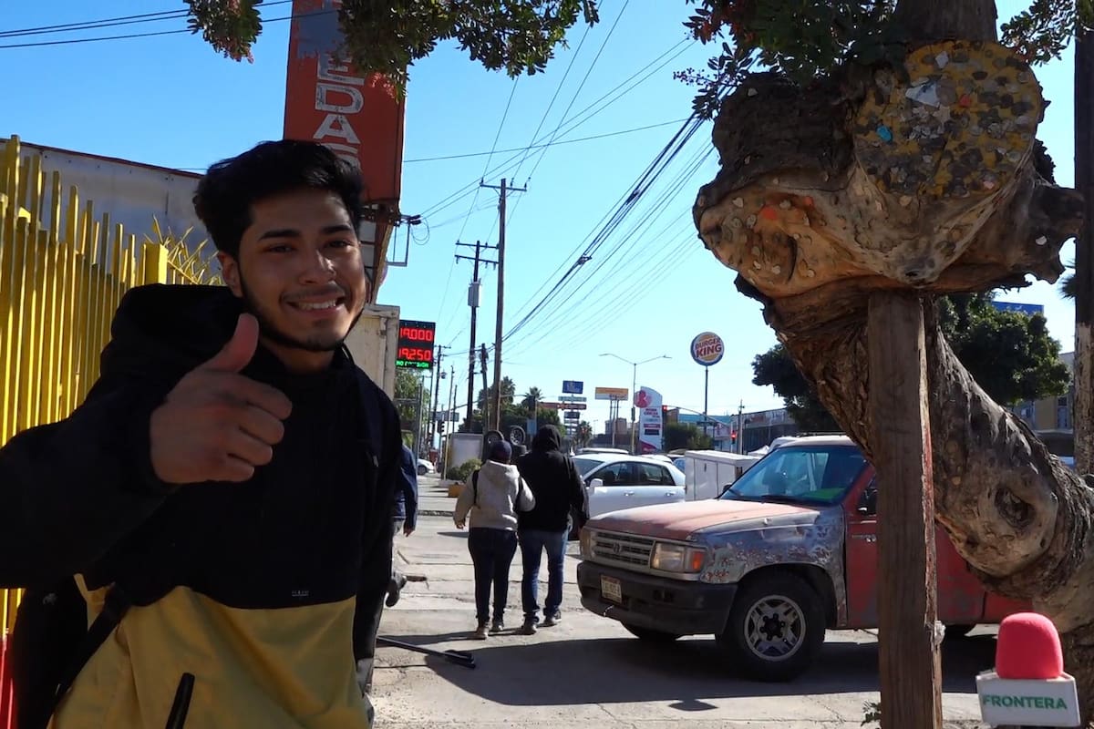 La tradición del Árbol de chicles en Tijuana