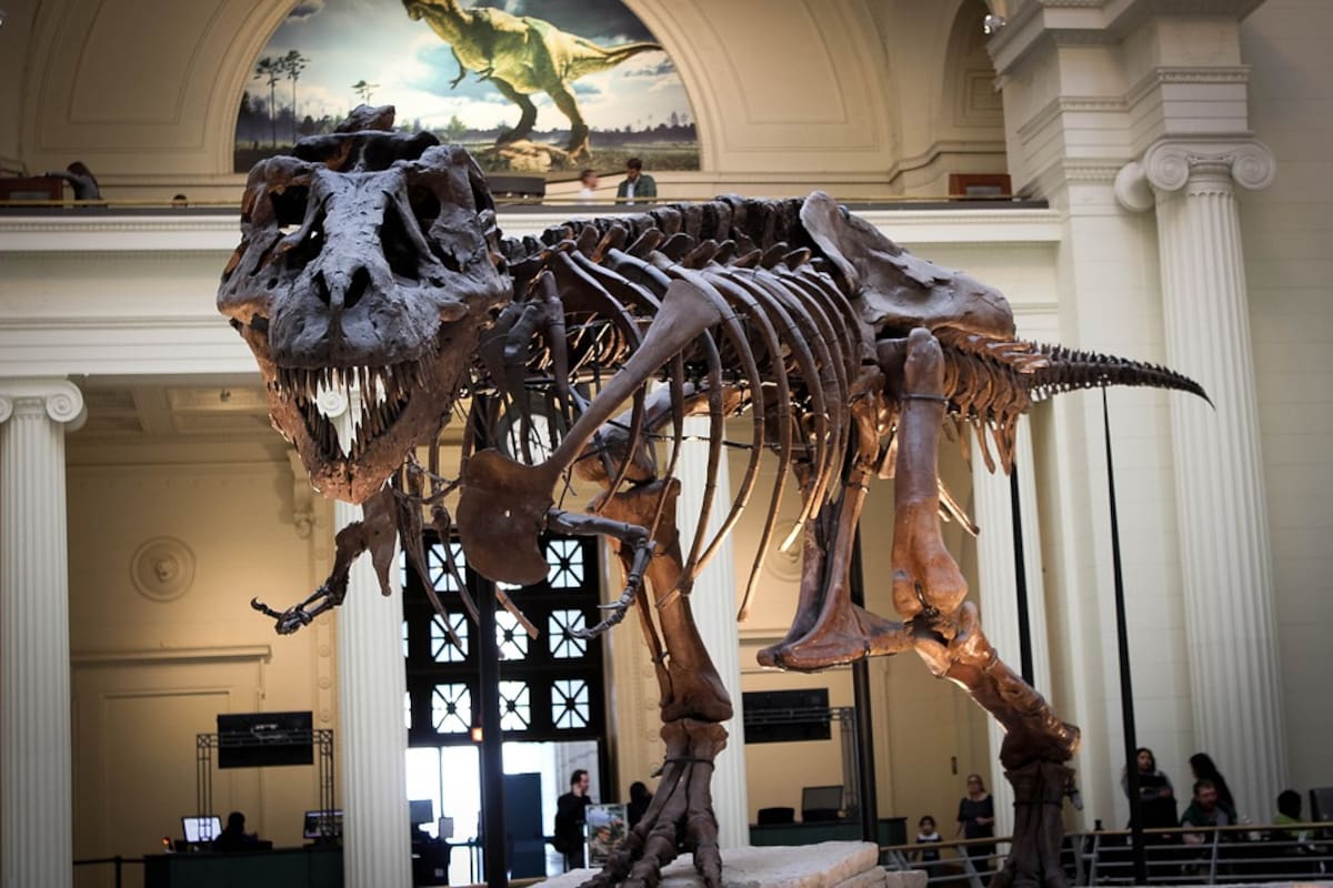 Encuentran al titanosaurio más antiguo, en la Patagonia Argentina
