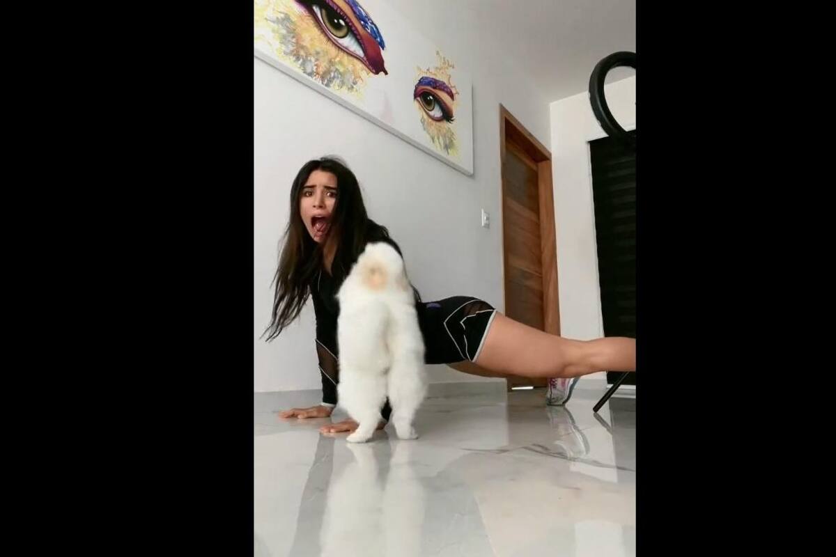 TIKTO VIRAL: Joven intenta hacer paso de Anitta pero su perro la interumpe