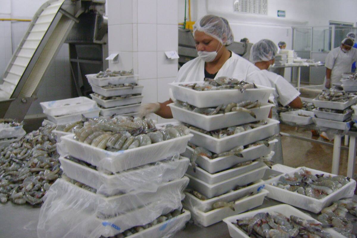 Economía: Impulsan convenios exportaciones de Pymes sonorenses