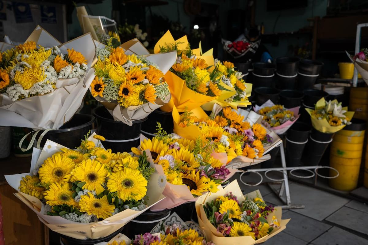 Regalar flores amarillas, una tradición que crece cada 21 de marzo que marca la llegada de la primavera