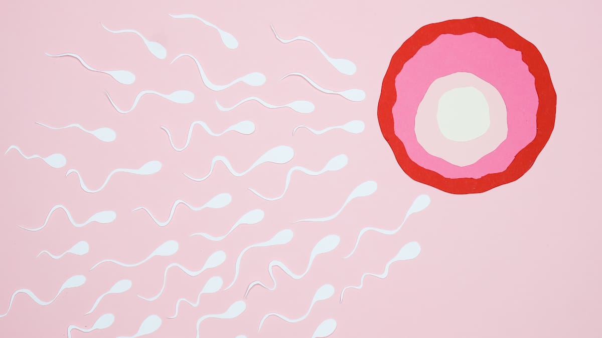 Este tipo de estudios no implica que los productos cotidianos deban evitarse de forma inmediata ni que exista un riesgo directo comprobado.