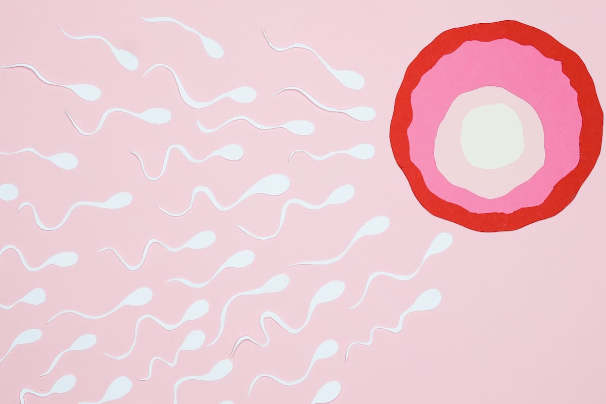 Un estudio revela que el esperma masculino tiene un “reloj” que sigue reglas universales, según expertos