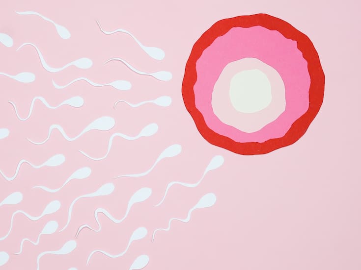 Un estudio revela que el esperma masculino tiene un “reloj” que sigue reglas universales, según expertos