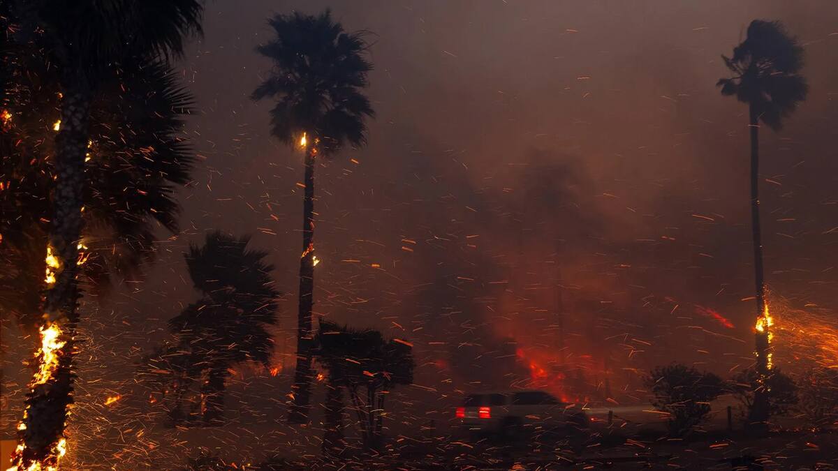 Los incendios forestales en California han arrasado con la exclusiva zona de Pacific Palisades.