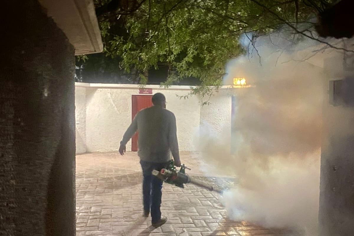 Detectan casos de Dengue en SLRC y llaman a reforzar la limpieza en casa