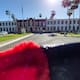 Trabajadores y maestros cuidan a las mascotas universitarias