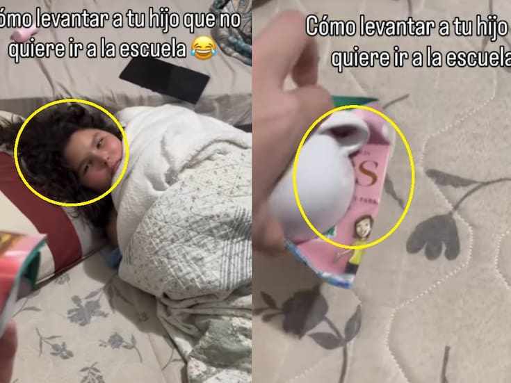 “Solo se necesitó una lagartija”: madre se vuelve viral por su ingeniosa forma de levantar a su hija para ir a la escuela
