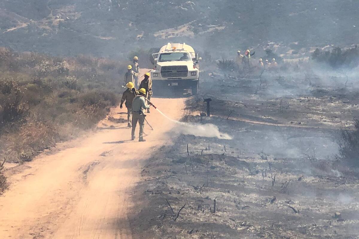 Bomberos contienen incendio en zona de La Paloma