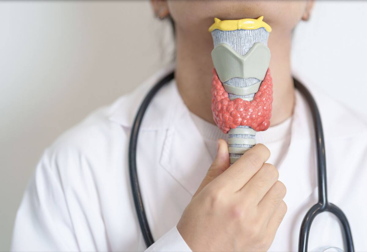 El hipotiroidismo se debe a factores biológicos y hormonales que afectan la función de la glándula tiroidea.