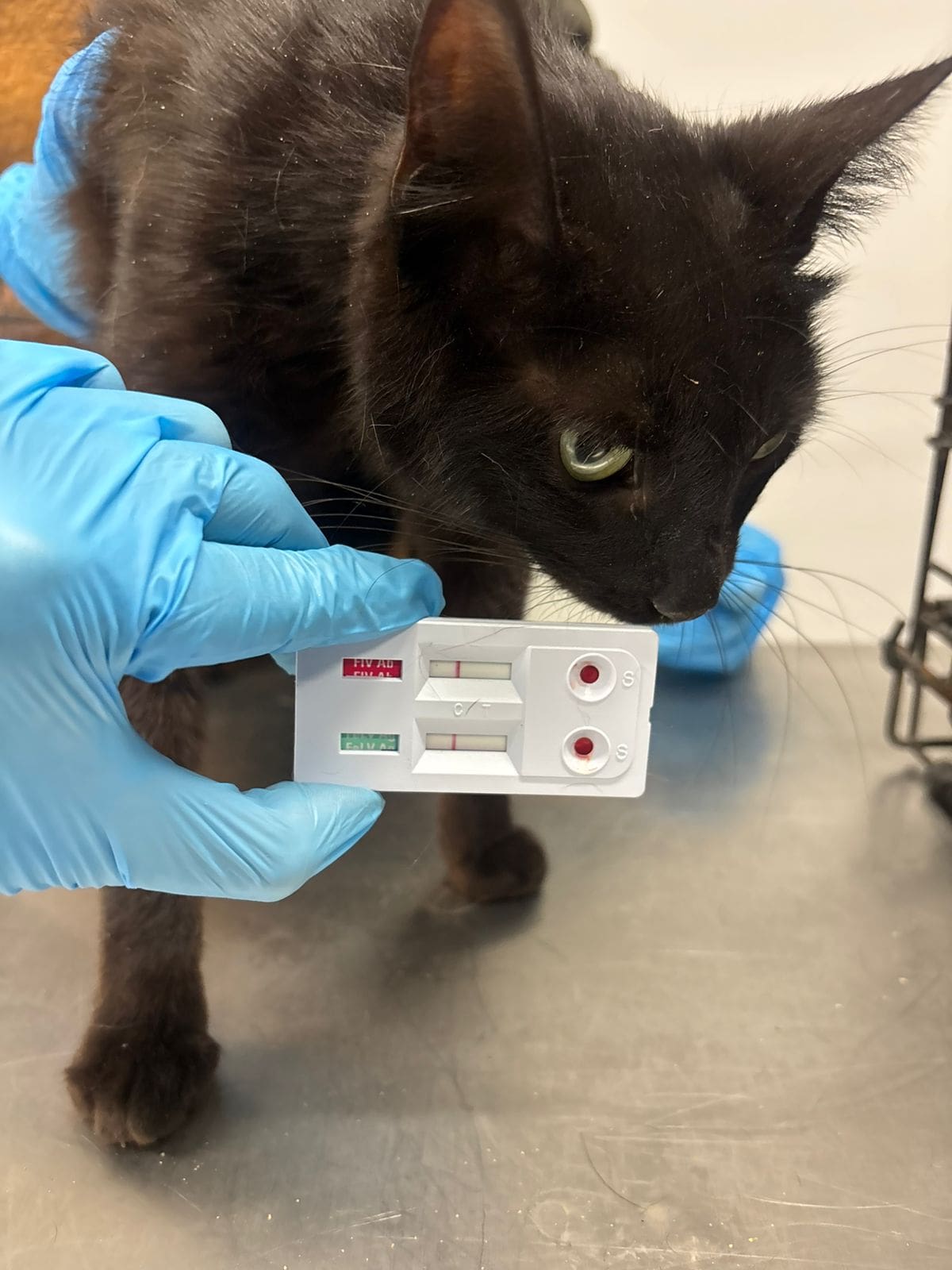 Foto: redes sociales Ismael Burgueño