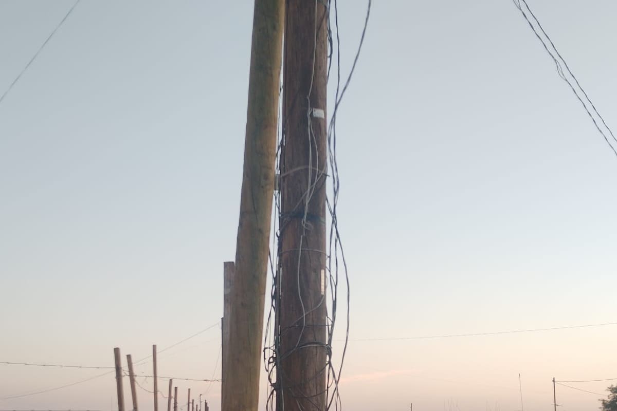 Riesgo latente: Vecinos del sur de la ciudad se cuelgan de postes con “diablitos” para obtener energía eléctrica
