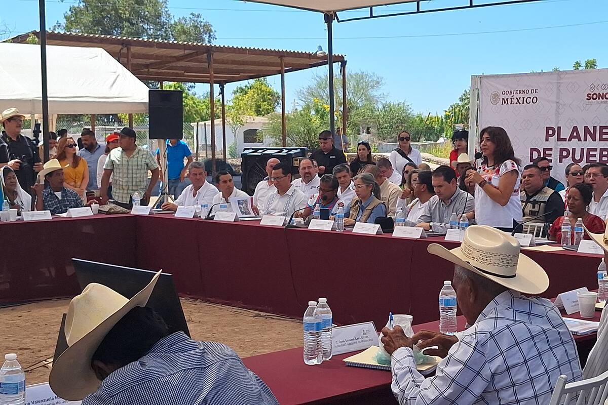Piden Mayos trato de gobierno a gobierno a Claudia Sheinbaum