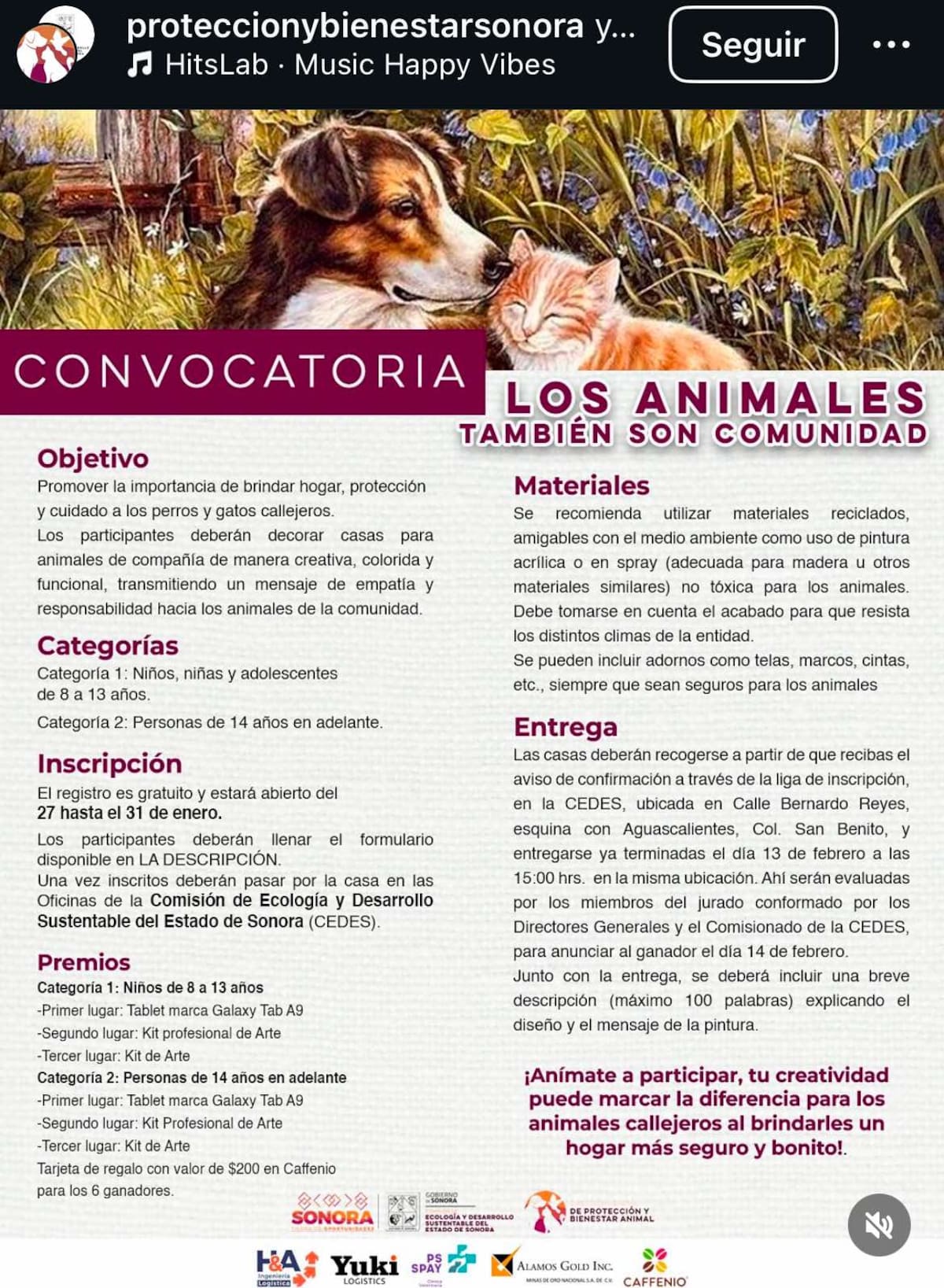 Bases para participar en concurso de pintura "Los Animales también son Comunidad" | Captura de pantalla