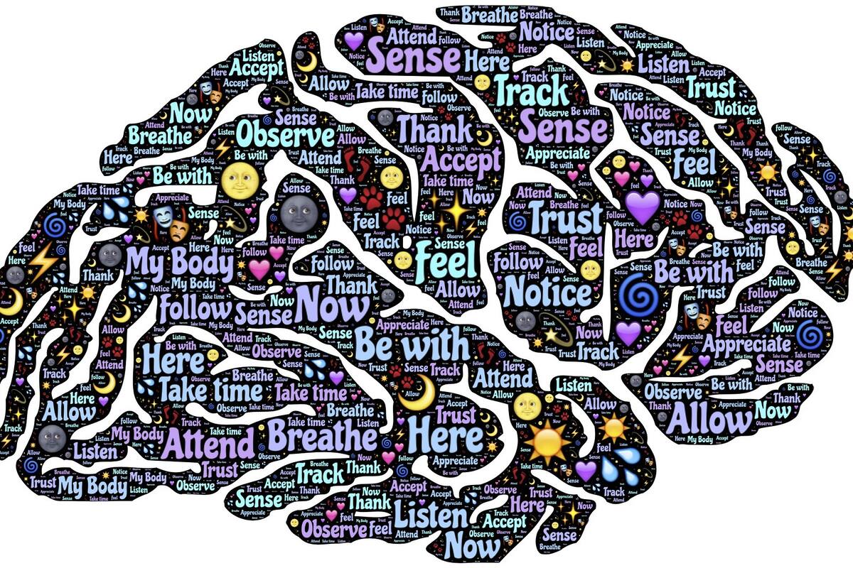 Consumir cacao te puede ayudar a mantener un cerebro saludable según estudio