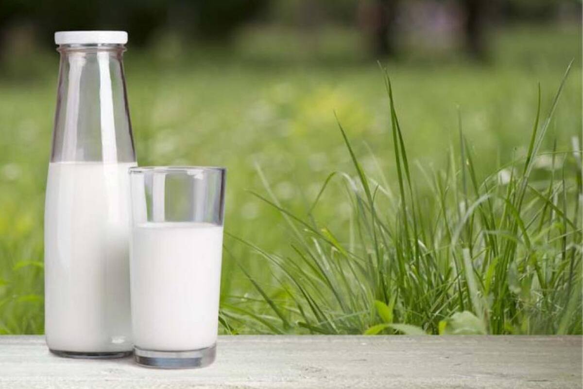 Beneficios y mitos de la leche