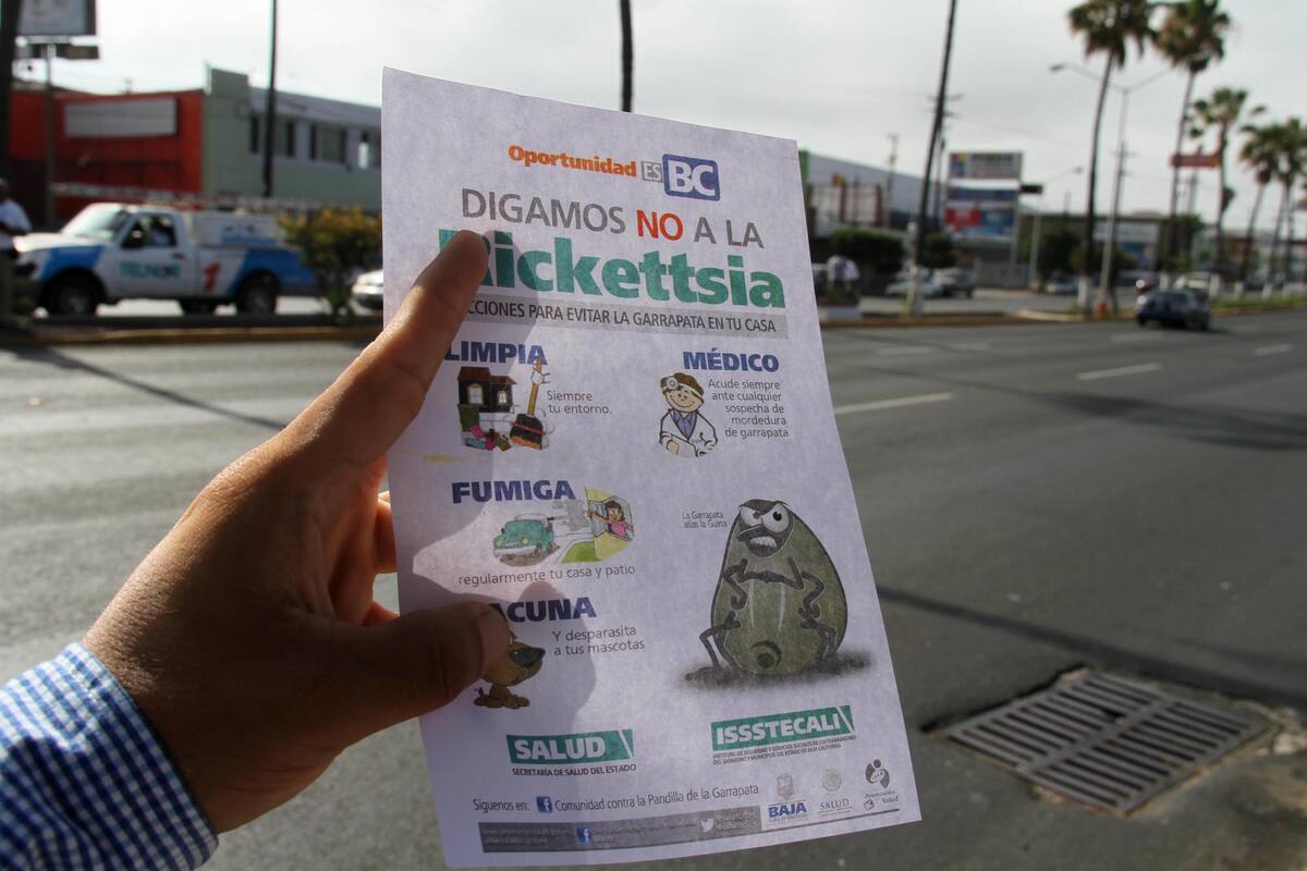 Rickettsia agudiza su letalidad en Tijuana