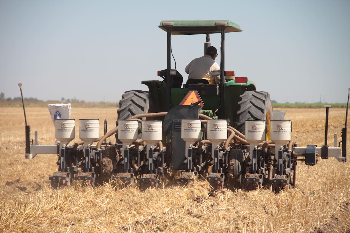 Produce Valle del Yaqui alimentos para el mundo