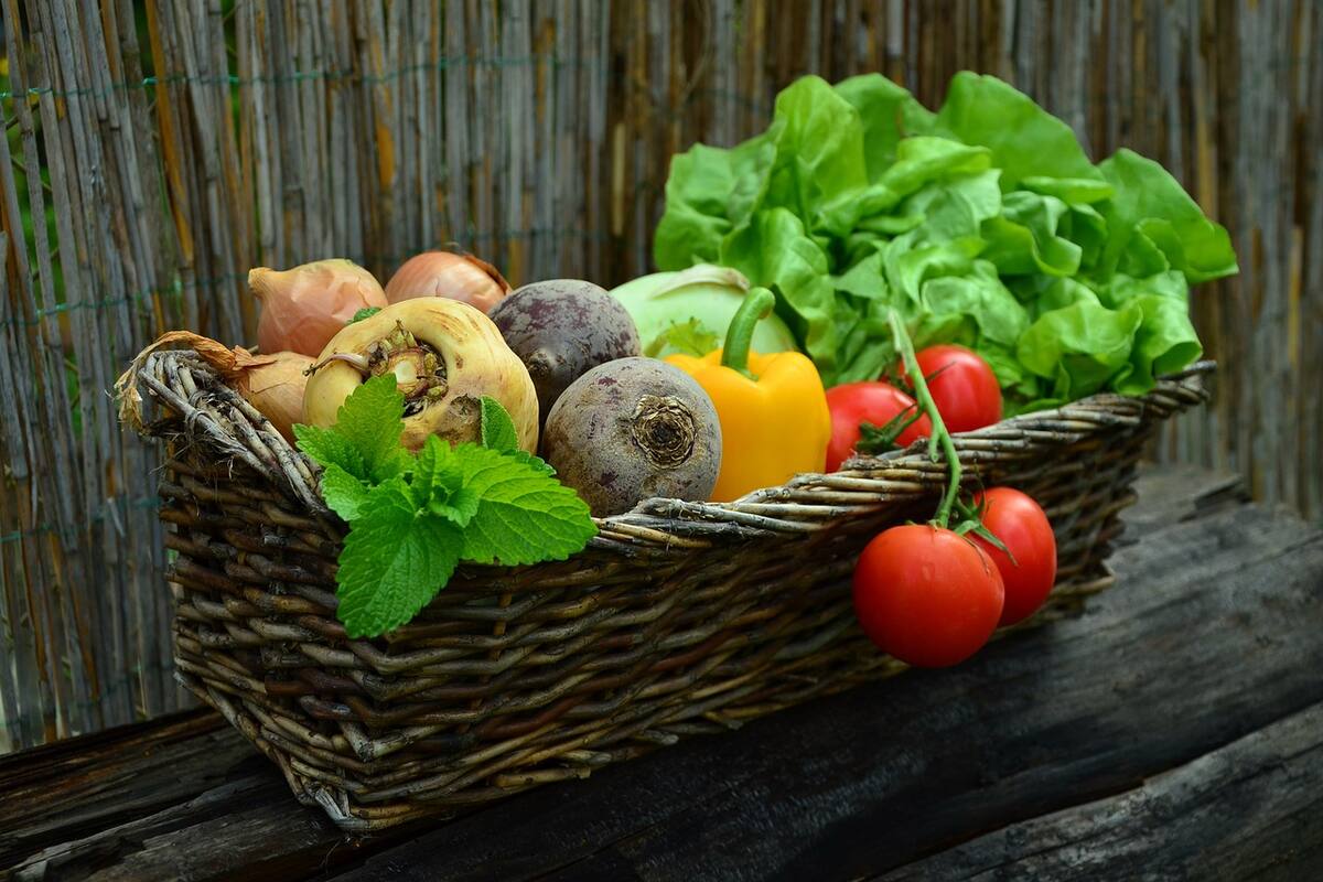 Consejos para mantener un estilo de vida saludable según ChatGPT