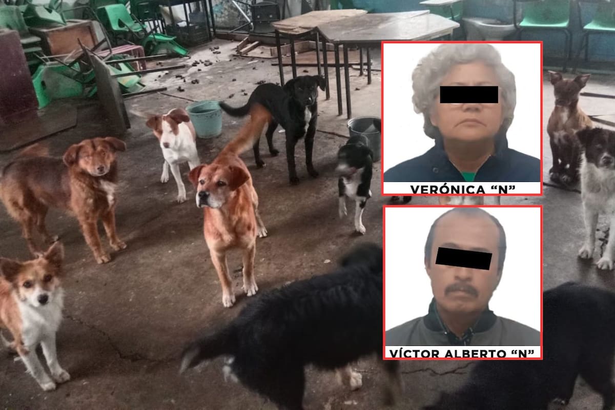 Mujer muere y dos niños salen heridos tras ataque de jauría en escuela de Huehuetoca; hay dos detenidos