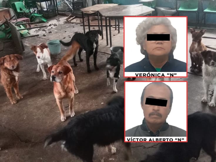 Mujer muere y dos niños salen heridos tras ataque de jauría en escuela de Huehuetoca; hay dos detenidos