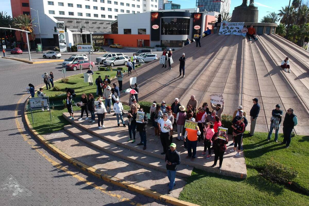 Se manifiestan contra AMLO en Zona Río
