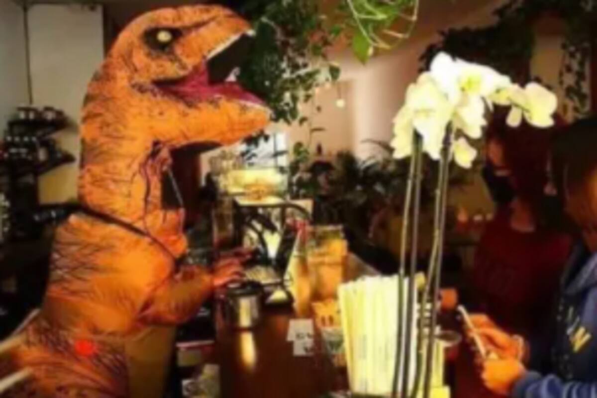 Con disfraz de dinosaurio atiende una cafetería