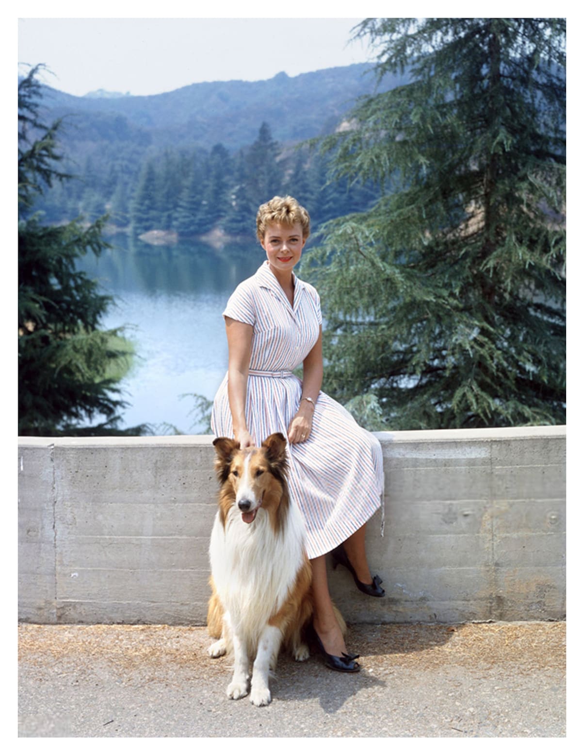 Jane Lockhart, estrella de "Lassie" | Cuenta de X: @ravillanti