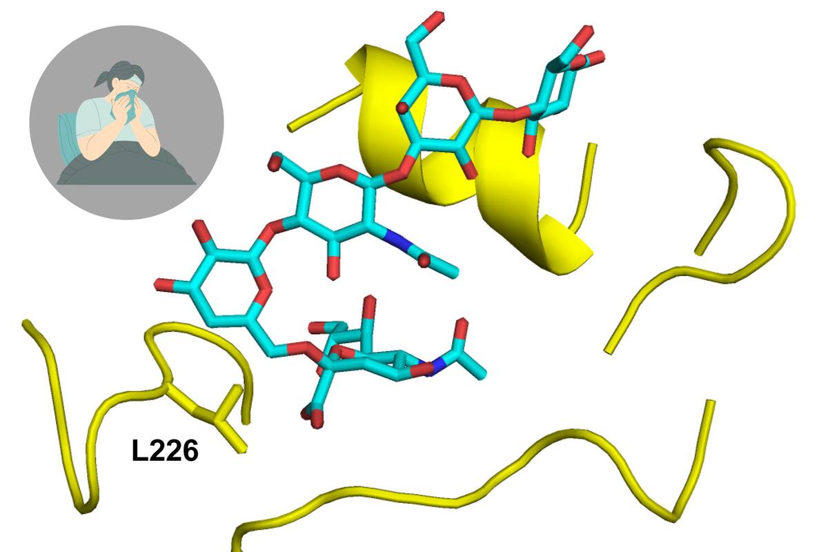 Encuentran mutación que facilitaría la transmisión de la gripe aviar a humanos