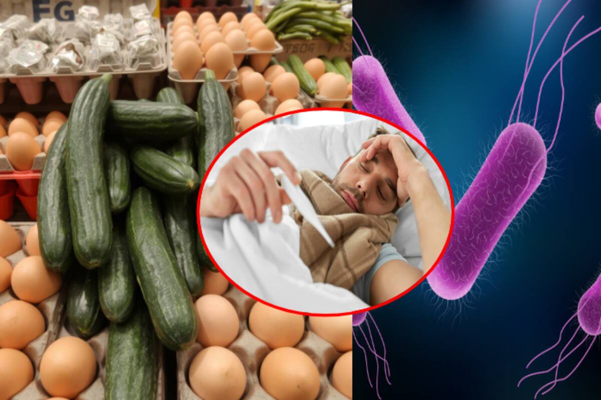 Posible brote de salmonela en pepinos y huevos preocupa a EU